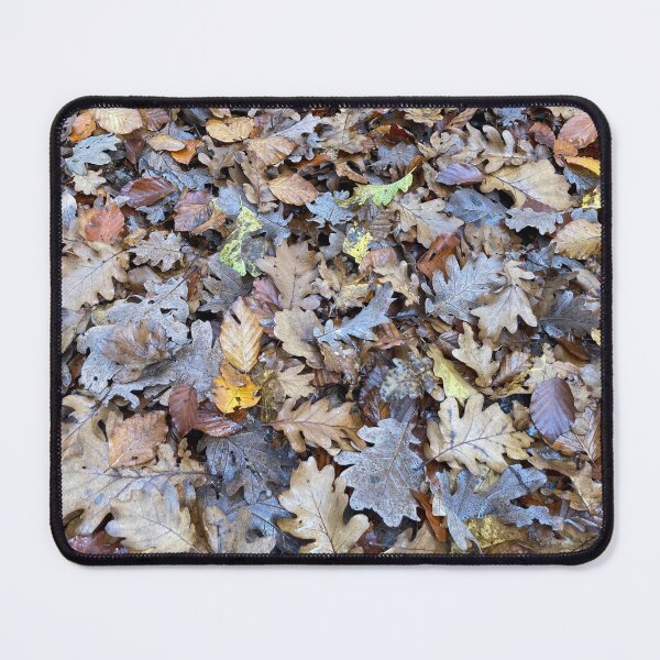Item preview, Autumn leaves, oak and beech, beautiful forest designed and sold by peteworld.