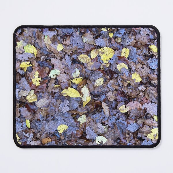 Item preview, Autumn leaves, beautiful forest, oak and beech designed and sold by peteworld.