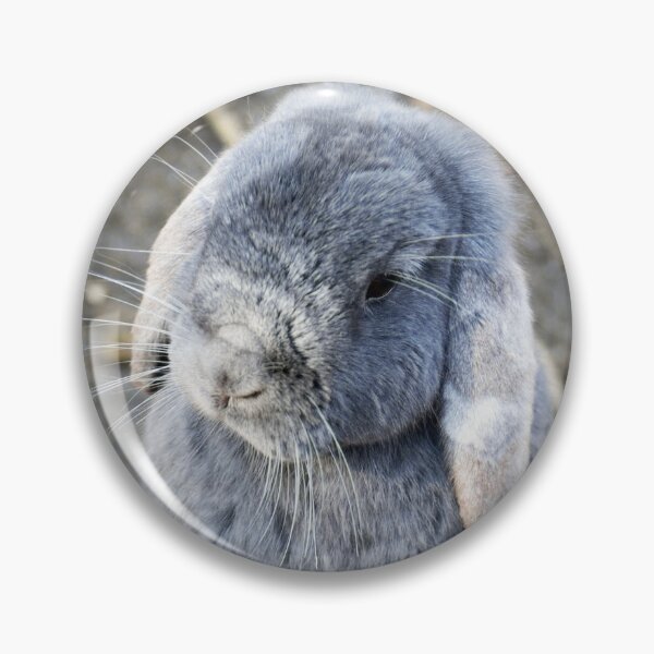 Item preview, Cute Grey Bunny portrait photo designed and sold by EmeraldeaArt.