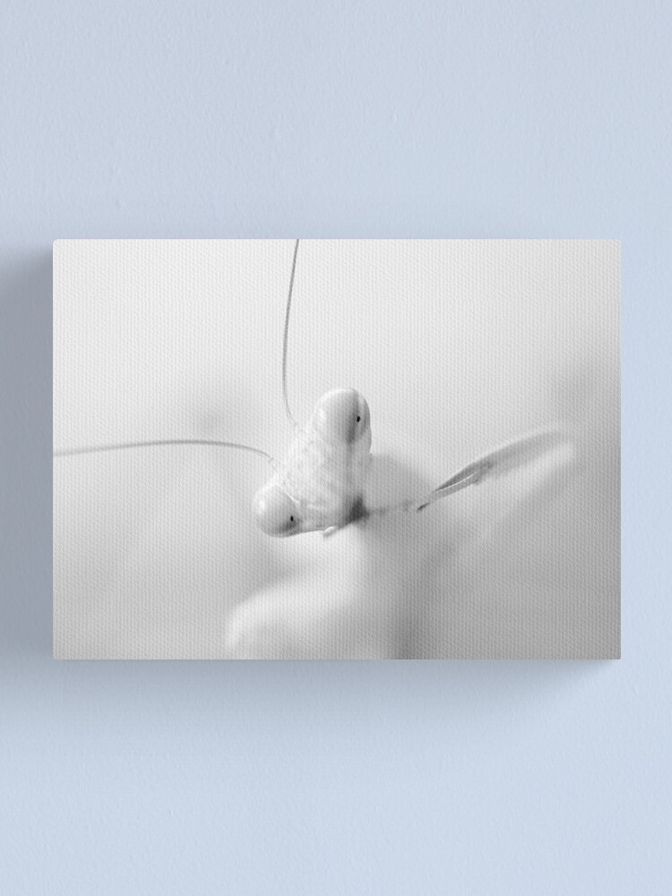 Alternate view of Alien Canvas Print