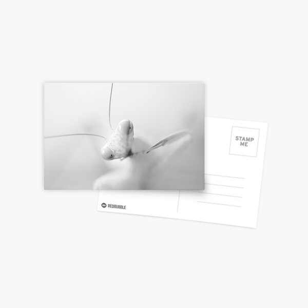Alien Postcard