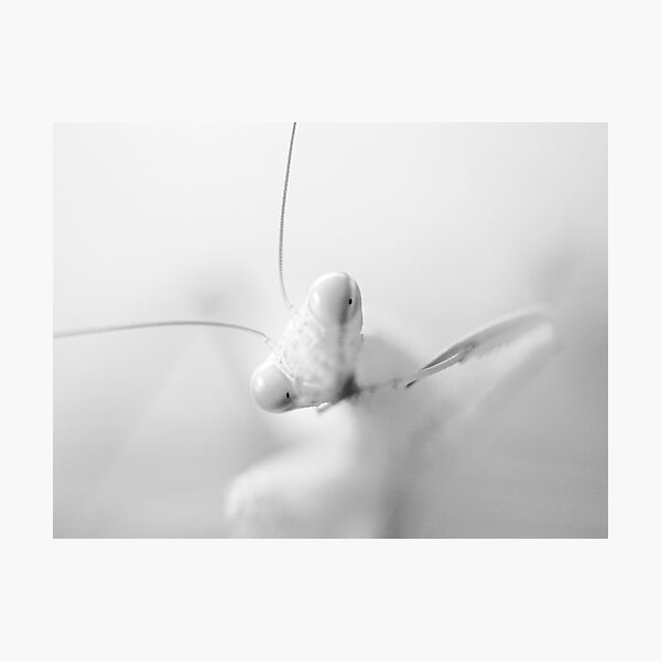 Alien Photographic Print