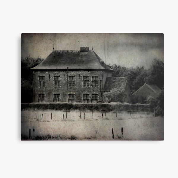 House Metal Print