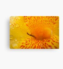 Nectar Canvas Print