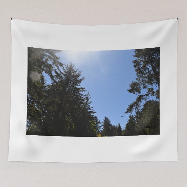 Item preview, Big Lagoon County Park, Humboldt County, California designed and sold by Mike Kunes.