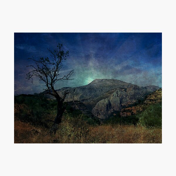 Darkness, death tree Photographic Print