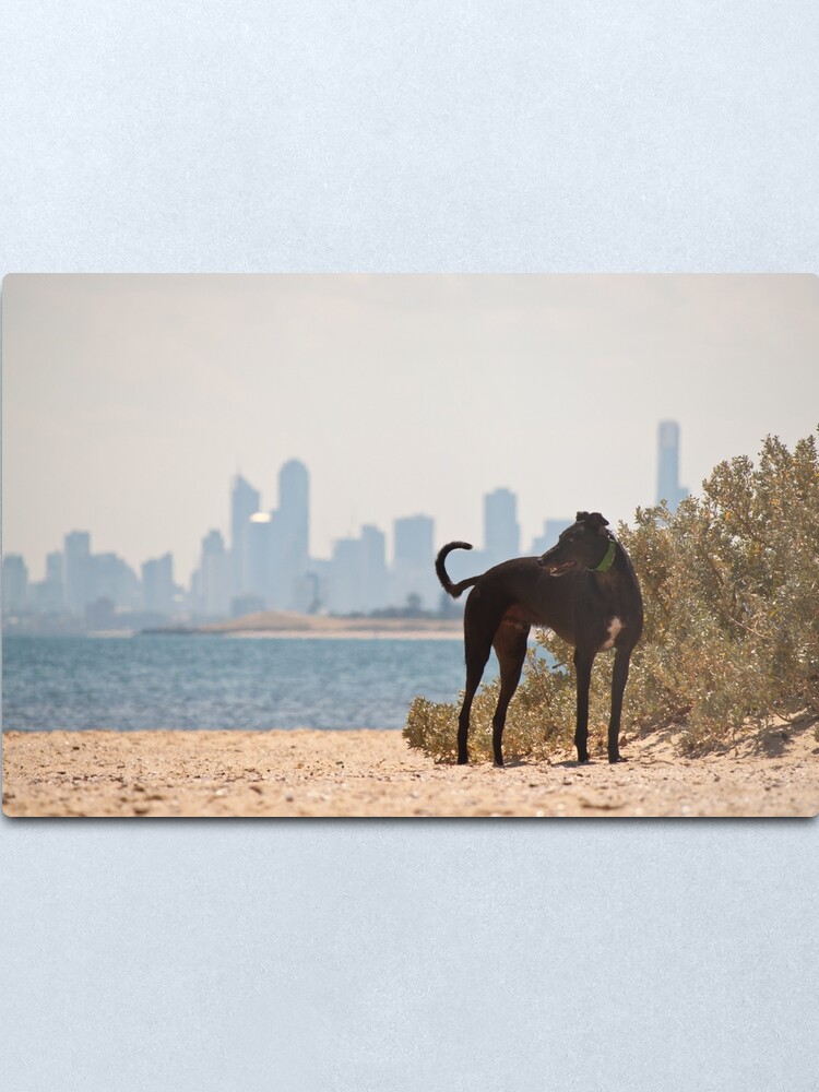 Alternate view of A Day at the Beach Metal Print