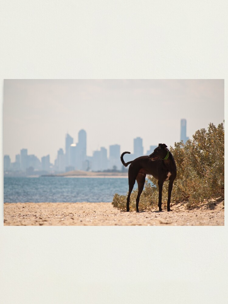 Alternate view of A Day at the Beach Photographic Print