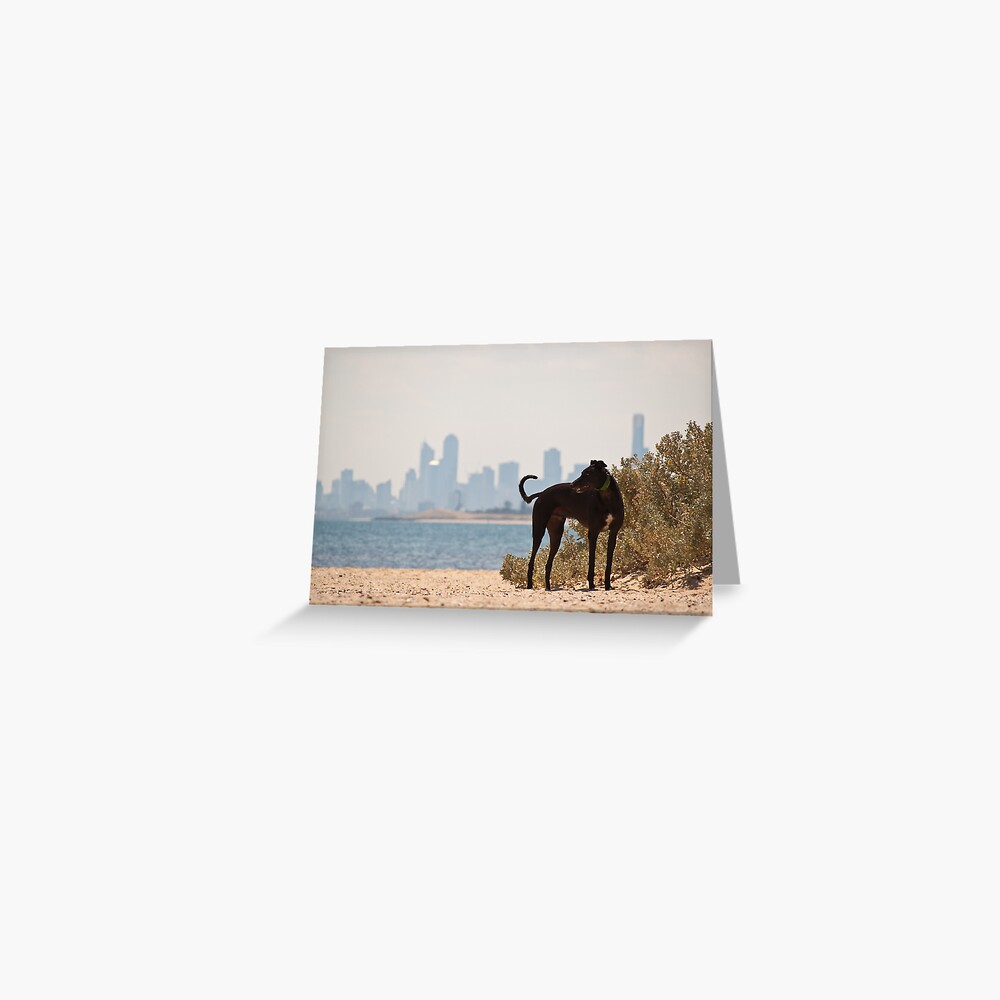 A Day at the Beach Greeting Card