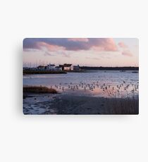Lion or lamb? Canvas Print