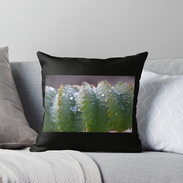 Item preview, Icy Leaves at Lyme Dorset UK designed and sold by lynn carter.