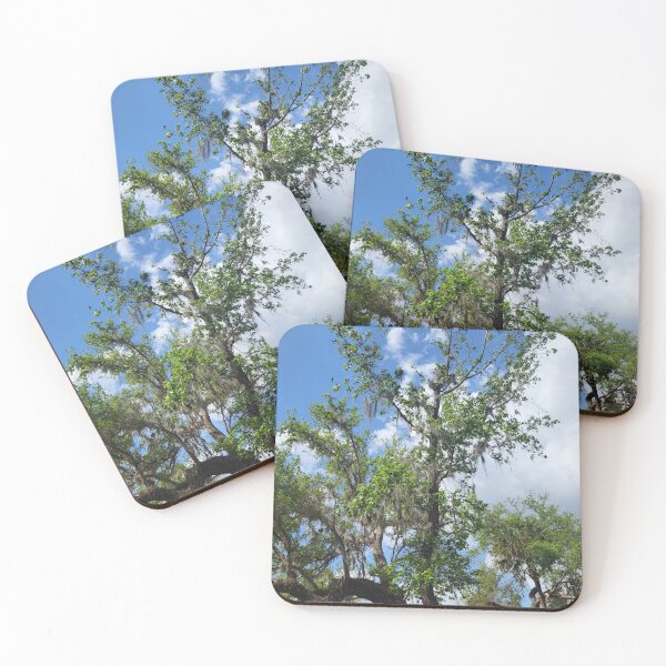 Item preview, Florida trees designed and sold by reformedfruit.