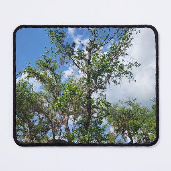 Item preview, Florida trees designed and sold by reformedfruit.