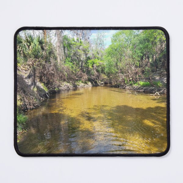 Item preview, Florida creek designed and sold by reformedfruit.