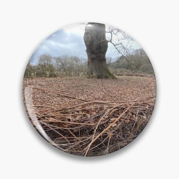 Item preview, Layered Hedge preventing soil compacting around tree roots. designed and sold by Paddyb17.