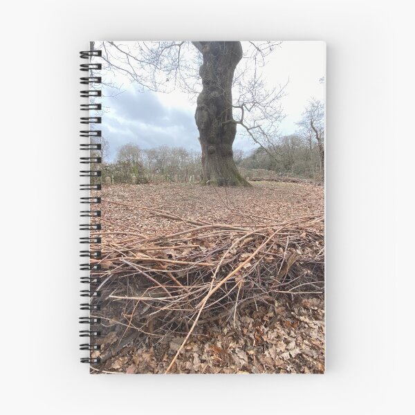 Item preview, Layered Hedge preventing soil compacting around tree roots. designed and sold by Paddyb17.