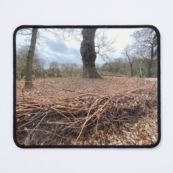 Item preview, Layered Hedge preventing soil compacting around tree roots. designed and sold by Paddyb17.