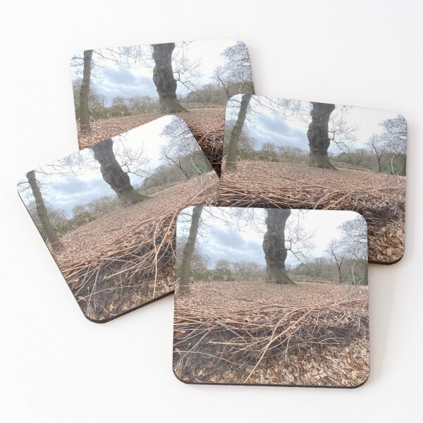 Item preview, Layered Hedge preventing soil compacting around tree roots. designed and sold by Paddyb17.