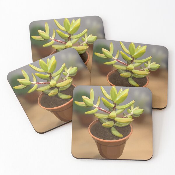 Item preview, Sedum  designed and sold by Purplepugprints.