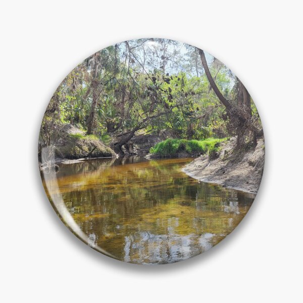 Item preview, Florida stream designed and sold by reformedfruit.