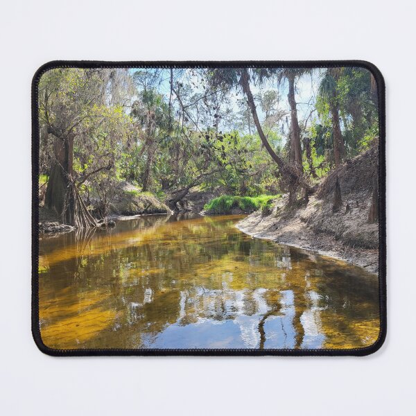 Item preview, Florida stream designed and sold by reformedfruit.
