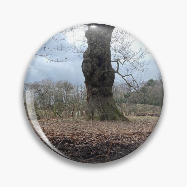 Item preview, Layered hedge protecting tree roots designed and sold by Paddyb17.