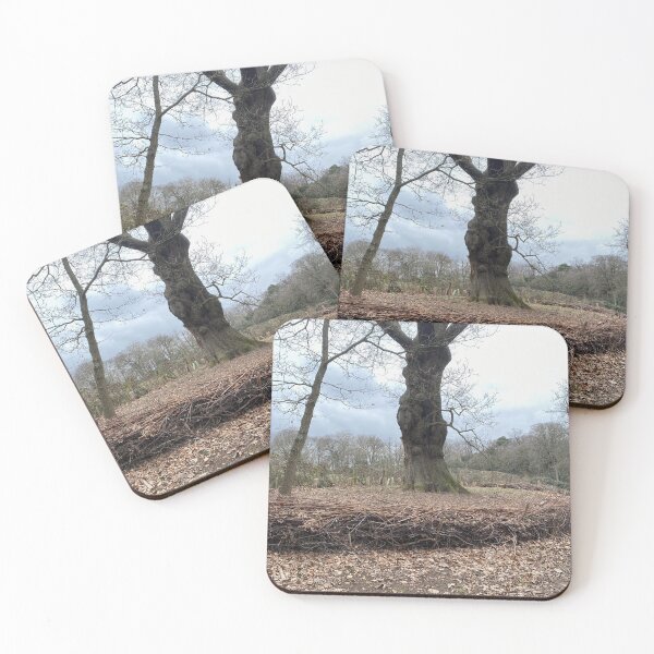 Item preview, Layered hedge protecting tree roots designed and sold by Paddyb17.
