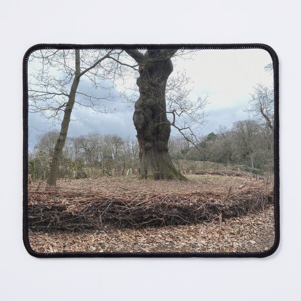 Item preview, Layered hedge protecting tree roots designed and sold by Paddyb17.