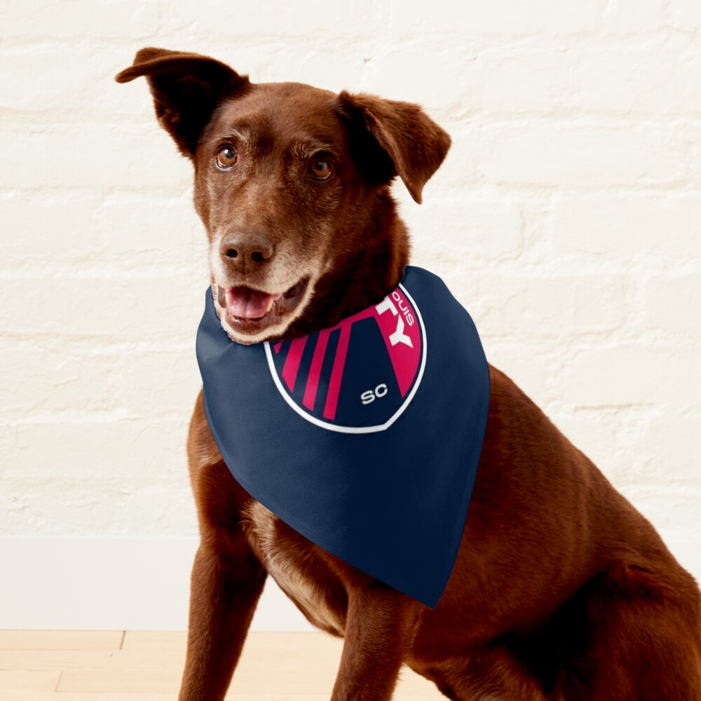 Willa Dog Bandana