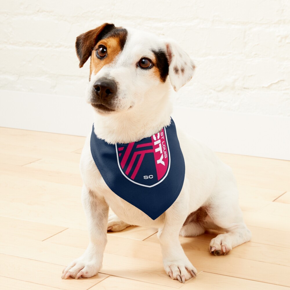 St louis clearance blues dog bandana