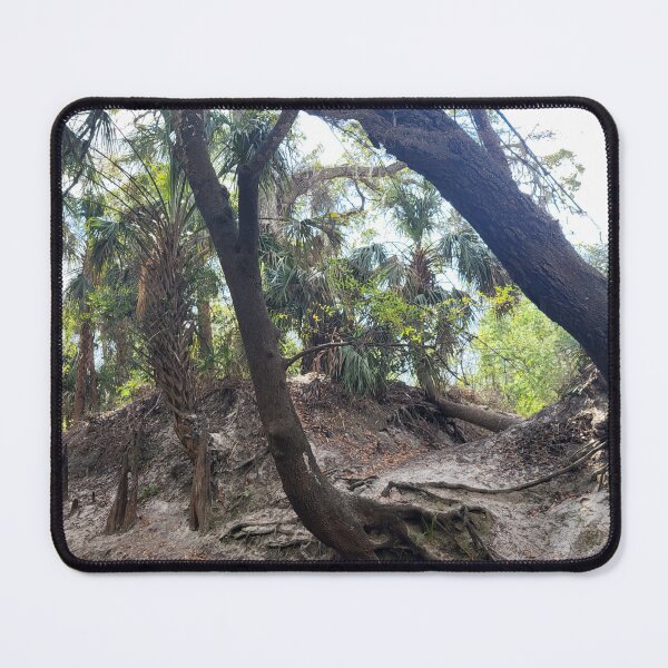 Item preview, Florida trees designed and sold by reformedfruit.