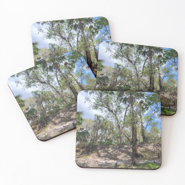 Item preview, Florida trees designed and sold by reformedfruit.