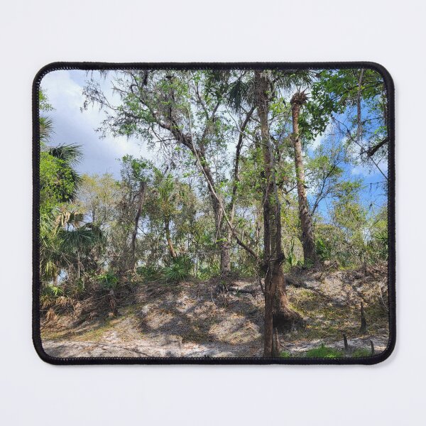 Item preview, Florida trees designed and sold by reformedfruit.