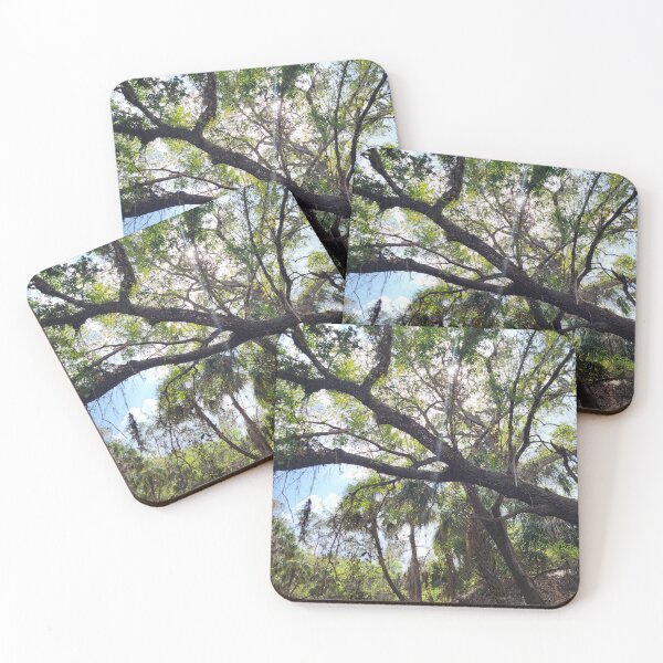 Item preview, Florida trees designed and sold by reformedfruit.