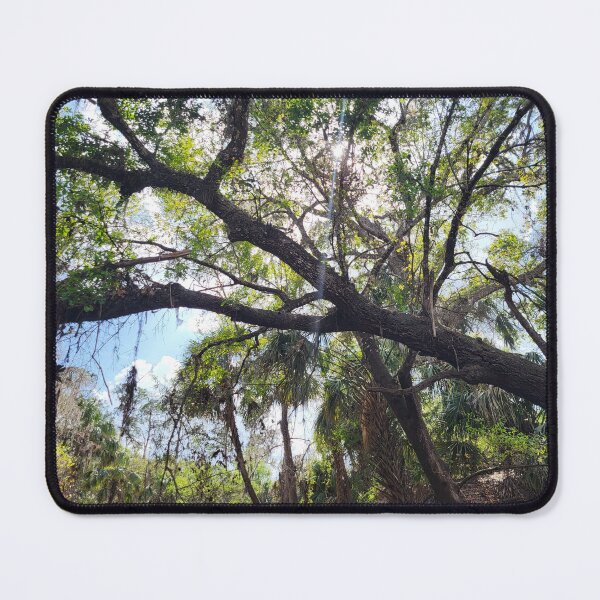 Item preview, Florida trees designed and sold by reformedfruit.