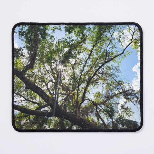 Item preview, Florida trees designed and sold by reformedfruit.