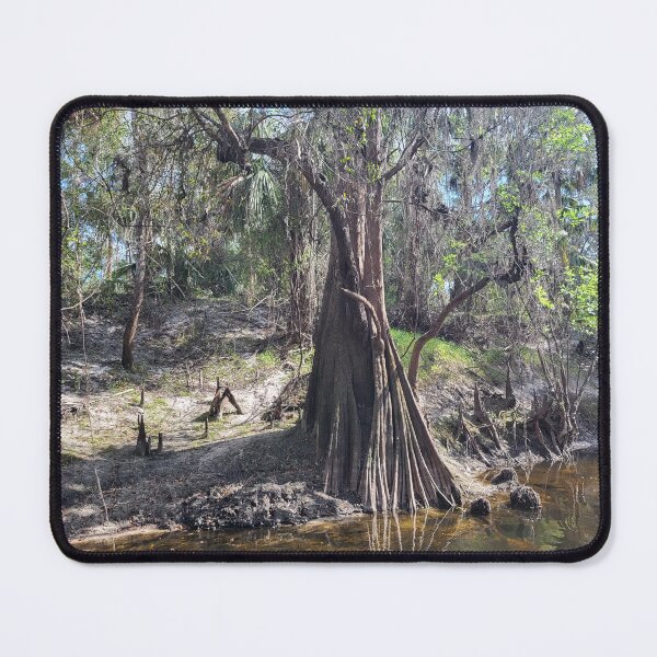 Item preview, Florida tree and creek designed and sold by reformedfruit.