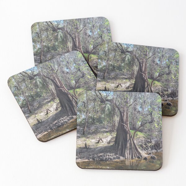 Item preview, Florida tree and creek designed and sold by reformedfruit.