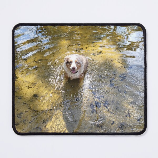 Item preview, Dog in creek designed and sold by reformedfruit.