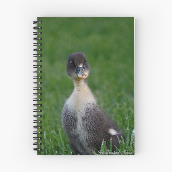 Item preview, Duckling designed and sold by StudebakerAcres.