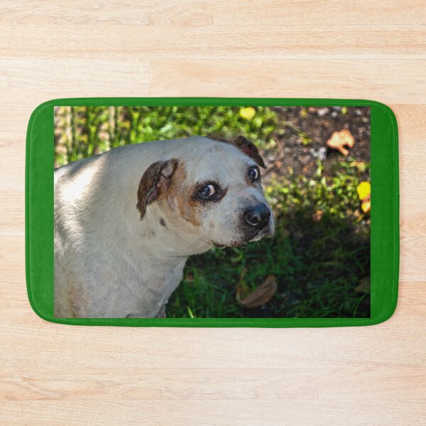 Item preview, Killer Was A Survivor designed and sold by alabca.