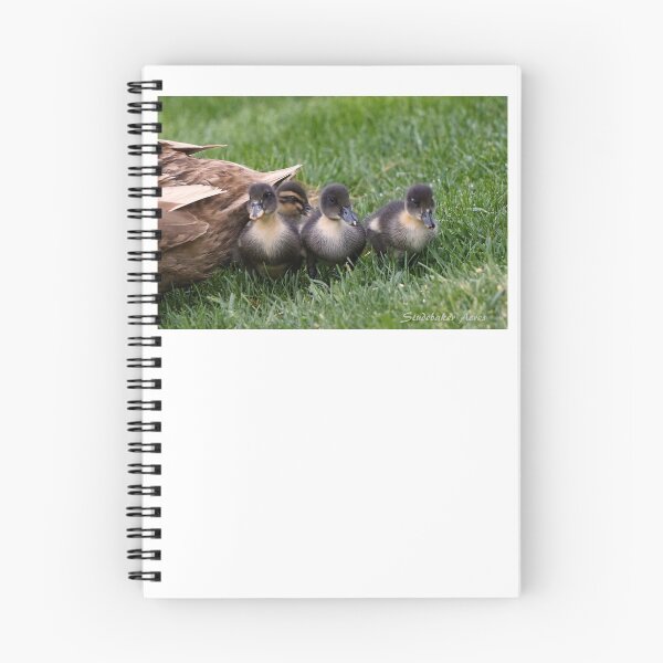 Item preview, Baby Flock designed and sold by StudebakerAcres.