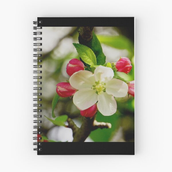 Item preview, flor de manzana designed and sold by StudebakerAcres.