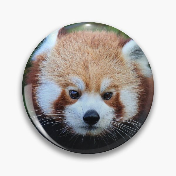 Item preview, Red Panda Style designed and sold by Fearless-Fox.