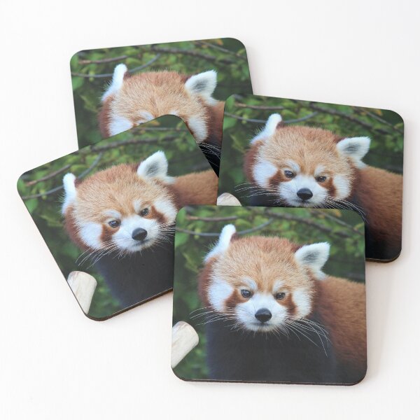 Item preview, Red Panda Style designed and sold by Fearless-Fox.