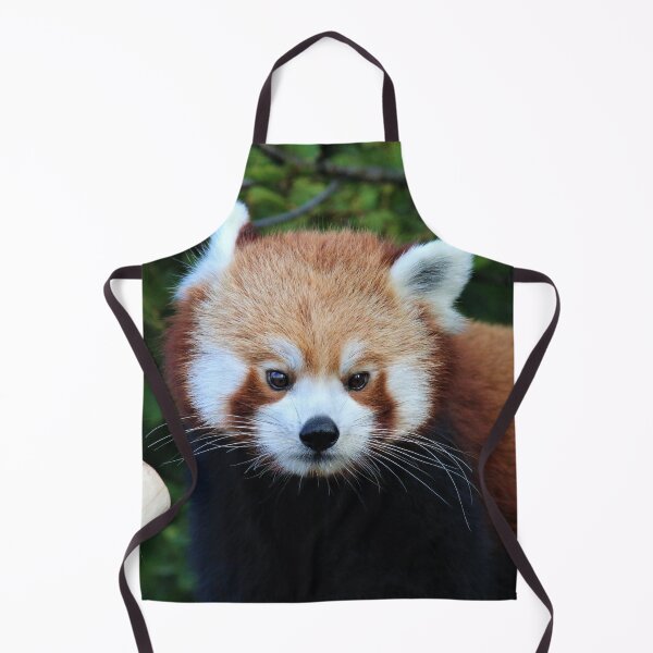 Item preview, Red Panda Style designed and sold by Fearless-Fox.