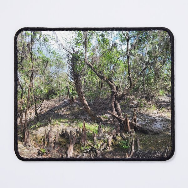 Item preview, Florida creek and trees designed and sold by reformedfruit.