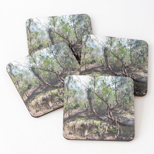 Item preview, Florida creek and trees designed and sold by reformedfruit.