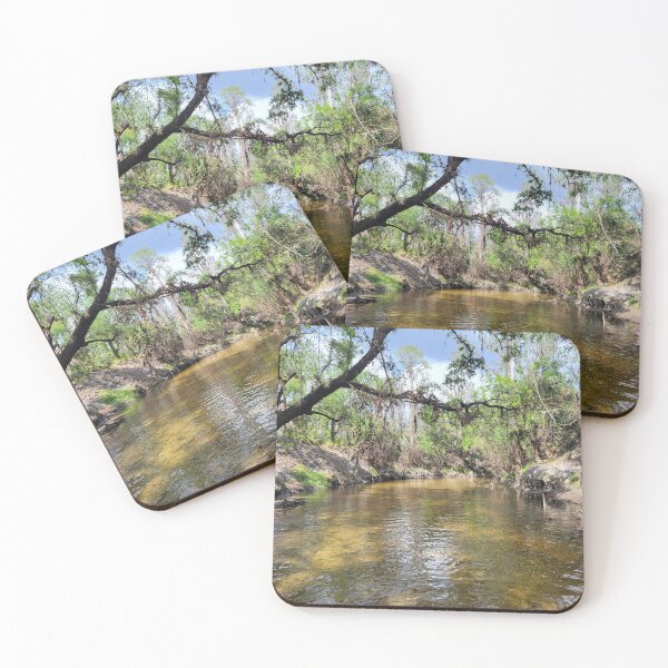 Item preview, Florida creek and trees designed and sold by reformedfruit.
