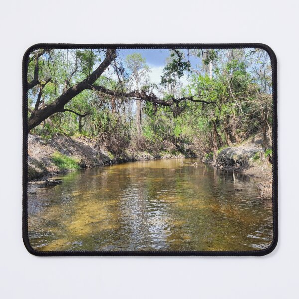Item preview, Florida creek and trees designed and sold by reformedfruit.
